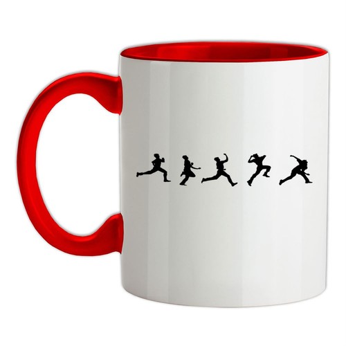 Evolution cricket bowling - of,