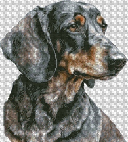 Counted cross stitch chart - counted,