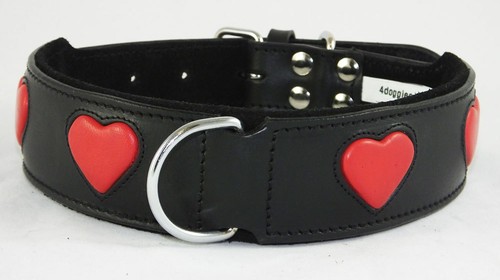 Black staffie dog collar red - staffie,