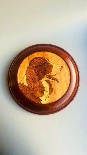Vintage dog springer spaniel - vintage,