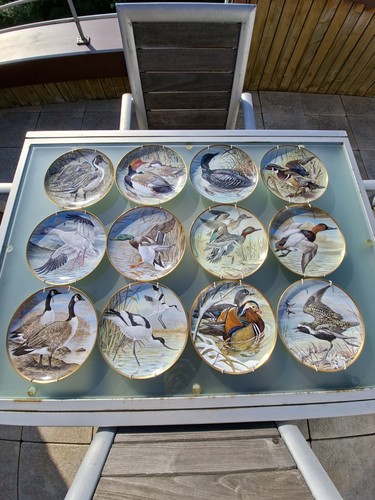 Full set basil ede - set,