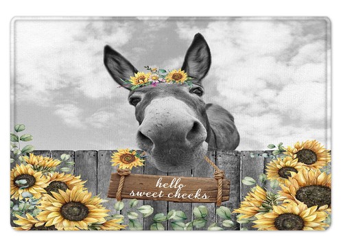 Farmhouse donkey bathroom - farmhouse,
