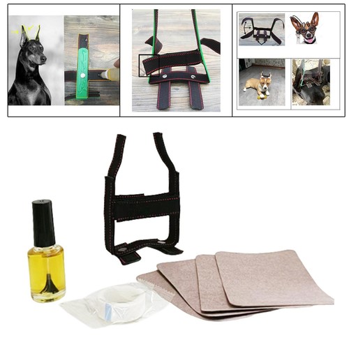 Doberman ear posting kit pet - doberman,