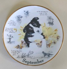 Vintage Danbury Mint  Border