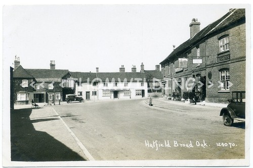 Hatfield broad oak cock - rp, inn