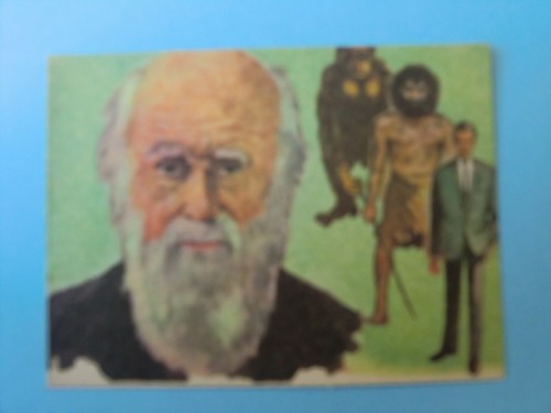 Bancroft tiddlers 1965 card - tiddlers,