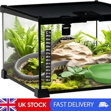 Glass Reptile Terrarium Insect