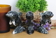 Black himalayan marble dolphin - himalayan,