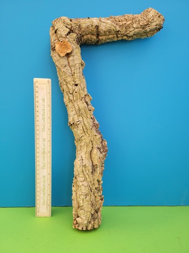 Cork bark branch - bark, snake