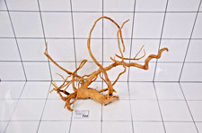 Premium Aquarium Natural Wood