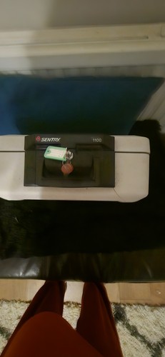Sentry safe 1100 fire - safe,