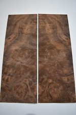 Walnut Burr / Burl - 2