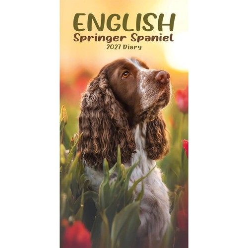 2027 english springer spaniels - english,