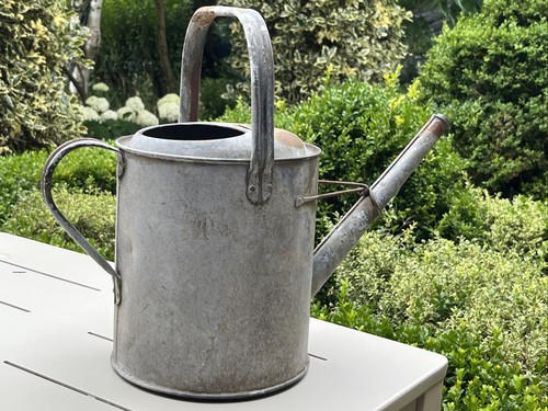 Antique galvanised watering - antique,