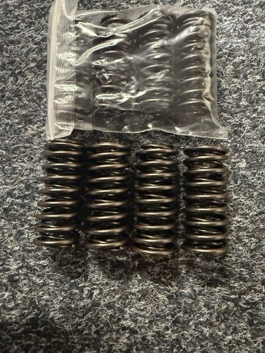 Valve springs pb - pa,