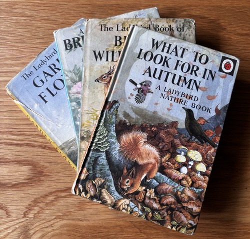 Vintage ladybird books - vintage,