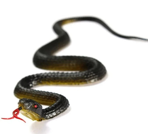Fake rubber snake - fake, toy