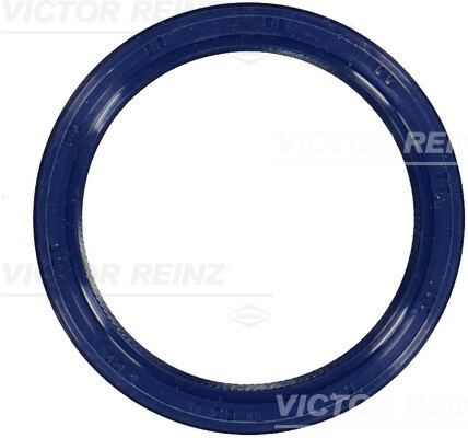 Victor reinz 53301 - victor,