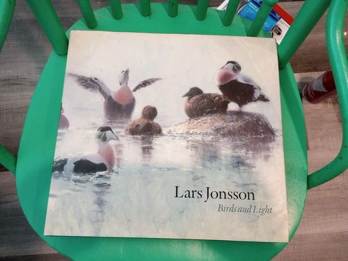 Birds and light lars - and,