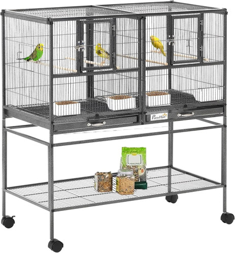 Bird cage parrot - parrot, with