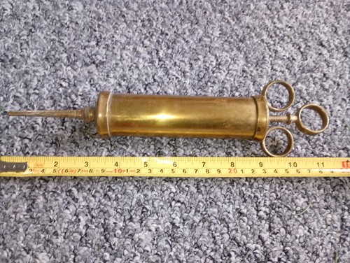 Veterinary antique brass horse - veterinary,