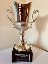 🏆 Big Silver Trophy 11”