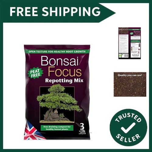 Bonsai focus repotting - 3l,