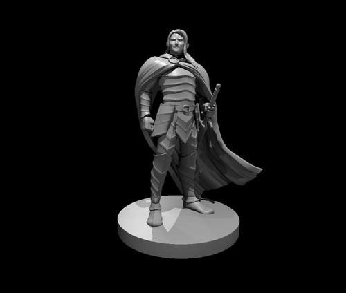 Dungeons dragons elf - &,