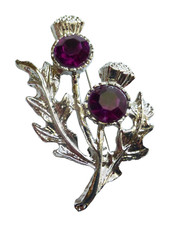 Scotland Thistle Brooch with Resin Amethyst Stones Boxed