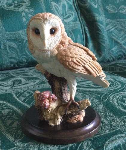 Country artist tawny owl - country,