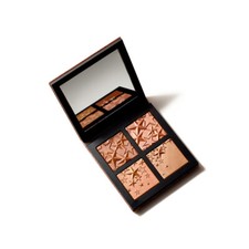 M.A.C.  STAR-DIPPED FACE