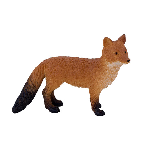 Red fox wild countryside - fox,