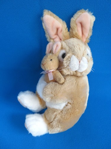 Bunny rabbit lapin - rabbit,