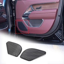 Real carbon fiber front door - fiber,