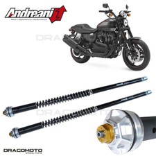 HARLEY-DAVIDSON XR 1200 X