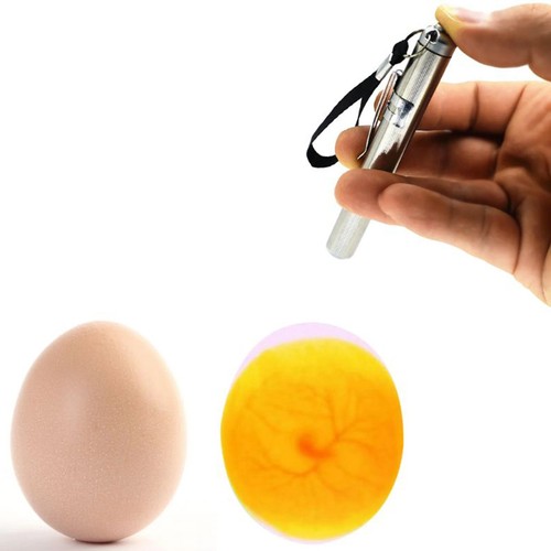 Led egg candler incubator - 1,