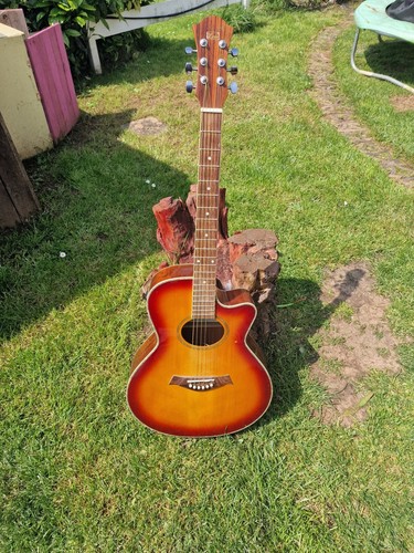 Stagg electro acoustic - stagg,