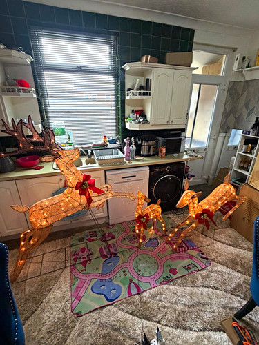 Set christmas reindeer - christmas,