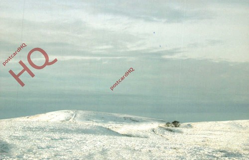 Picture postcard chorley - picture,