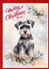 Miniature Schnauzer Dog