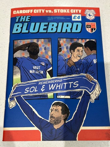 Cardiff city stoke - cardiff,