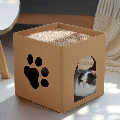 Cat cardboard house scratching - cat,