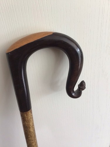 African blackwood hazel - blackwood,