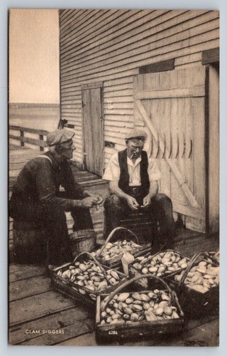 Vintage provincetown clam - provincetown,