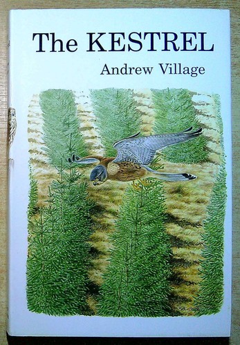 Village andrew the - village,, kestrel