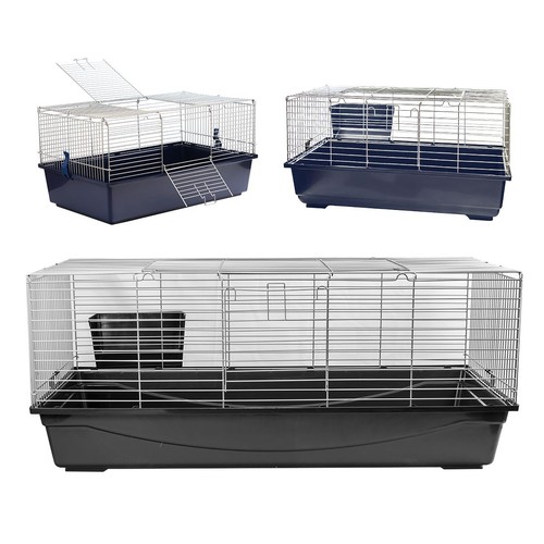Single level indoor - single, rabbit