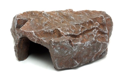 Komodo reptile rock den - reptile,