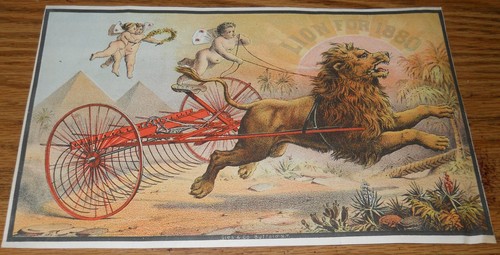 Farm lion for - for, sulky