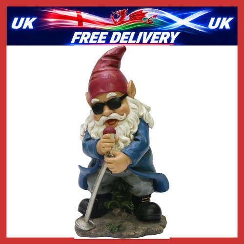 Rock roll gnome a band - roll,