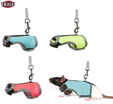 TRIXIE PET RAT WALKING OUTDOOR